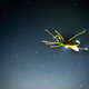 Illustration for article titled Shooting Challenge: Bugs 4